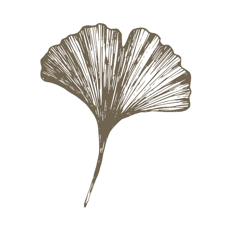 logotry